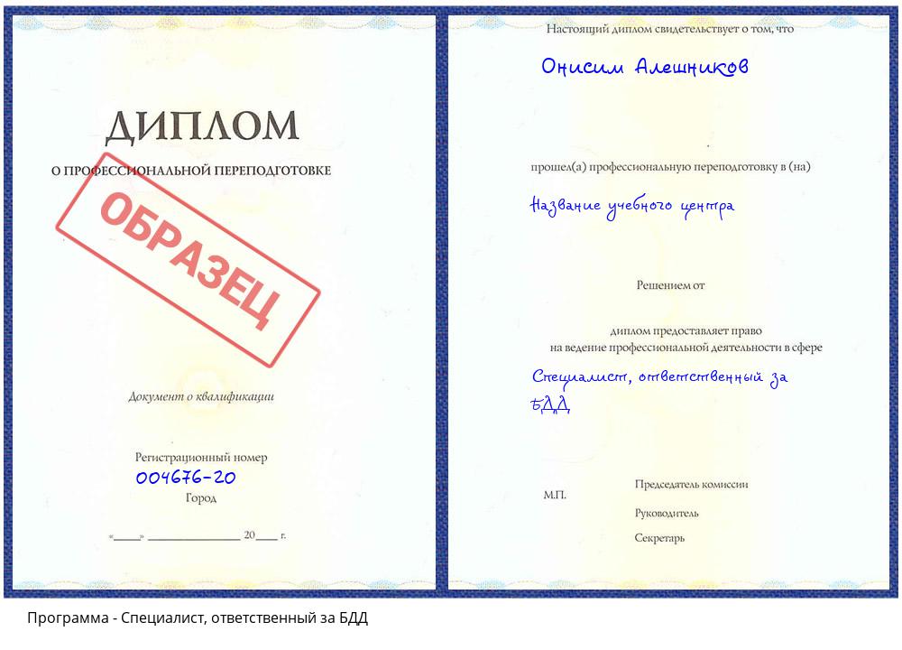 Специалист, ответственный за БДД Усть-Джегута