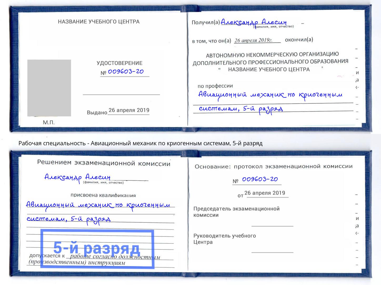 корочка 5-й разряд Авиационный механик по криогенным системам Усть-Джегута